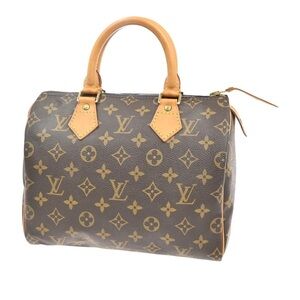 Louis Vuitton Speedy Monogram Bag